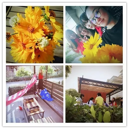 網(wǎng)勢(shì)科技6周歲生日快樂(lè)！