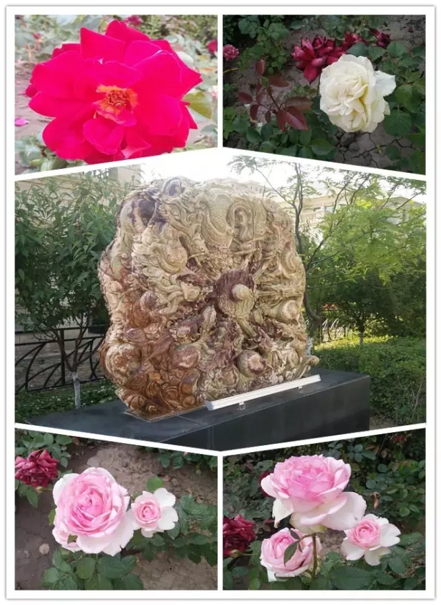 網(wǎng)勢(shì)科技6周歲生日快樂(lè)！